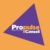 Propulse Conseil